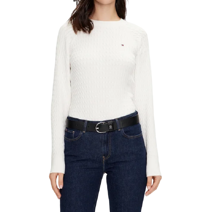 Tommy Hilfiger Maglione WW0WW41142