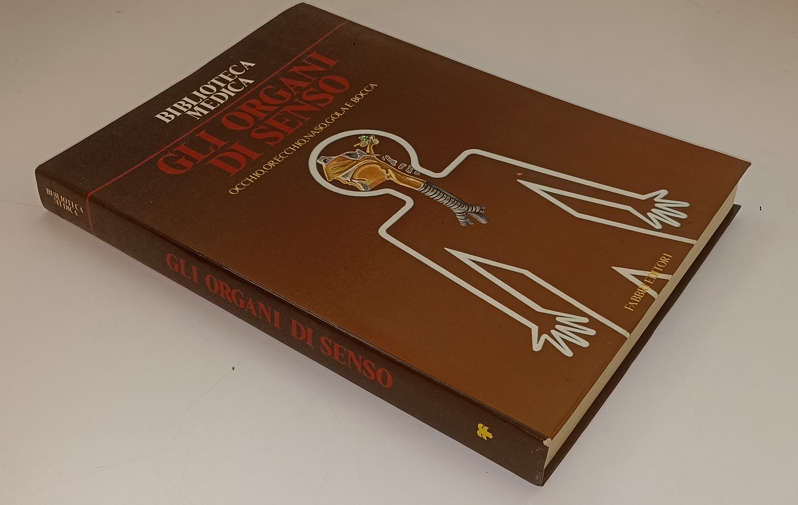 LQ- BIOLOGIA E MEDICINA BIOLOGY DIZIONARIO -- ZANICHELLI --- 1990- CS- YFS553